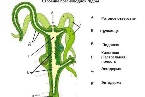 Сайт омг